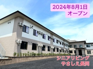 269162003