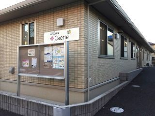 278654616