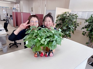 314635728