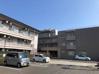 317561537